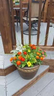4 Seasons Home & Garden - Landscape Design in Lexington, KY