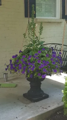 4 Seasons Home & Garden - Landscape Design in Lexington, KY