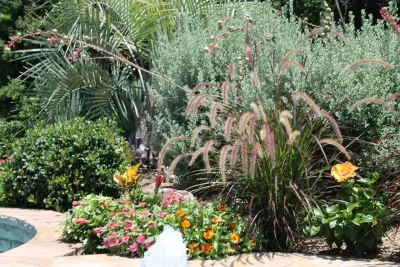Absolutely Bushed Landscaping - Deck Building & Repair in Richardson, TX