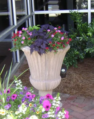 AA Tex Lawn - Landscape Design in Indian Trail, NC