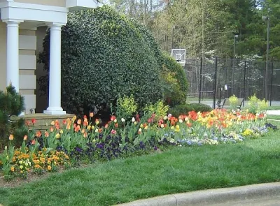 AA Tex Lawn - Landscape Design in Indian Trail, NC