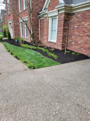 Alberto Alavez Professional Lawn Services LLC — Landscape Construction project by Alberto Alavez Professional Lawn Services LLC
