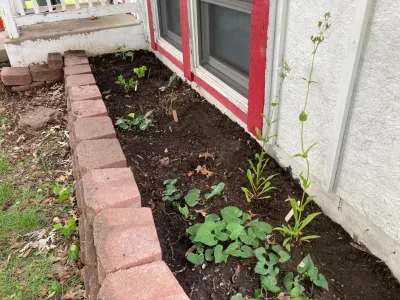 KC Native Landscapes - Landscape Design in Kansas City, MO
