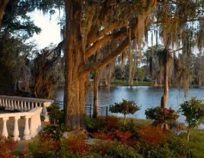 Land Art Landscape Architecture - Landscape Design in Orlando, FL