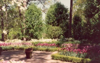 Landscape Architects, Inc - Landscape Design in Little Rock, AR
