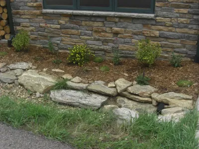 Alpine Meadows LLC - Landscape Design in Evergreen, CO