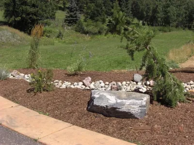 Alpine Meadows LLC - Landscape Design in Evergreen, CO