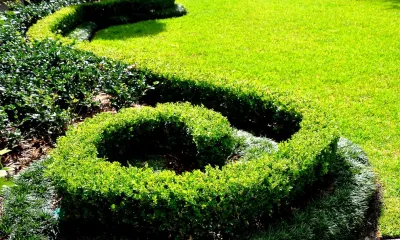 Amann and associates - Landscape Design in New Orleans, LA