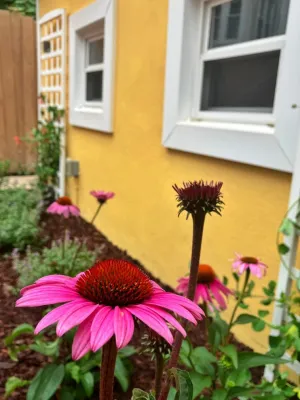 Lawson Yardscapes - Landscape Design in 
