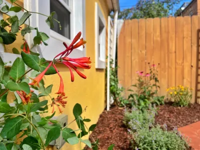 Lawson Yardscapes - Landscape Design in 
