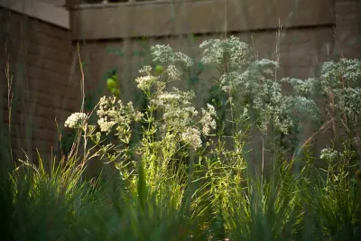 Golightly Landscape Architecture - Outdoor Lighting Installation in Birmingham, AL