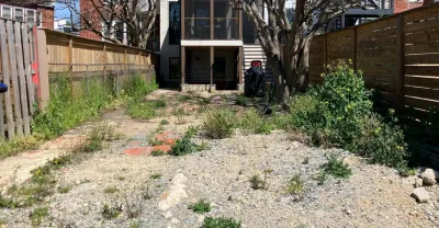 Contemporary backyard improvement and green roof — Landscape Design project by Lawson Yardscapes in Washington