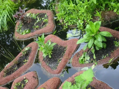 LEWISITES Landscape Architects - Landscape Design in Chesterfield, MO