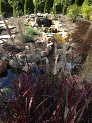LEWISITES Landscape Architects - Landscape Design in Chesterfield, MO