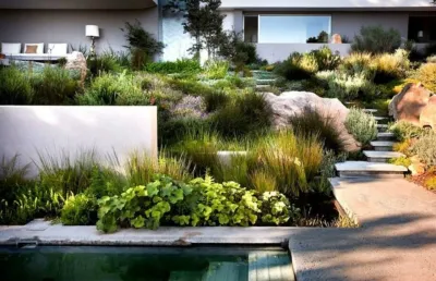 LocalLawn - Landscape Design in Orlando, FL