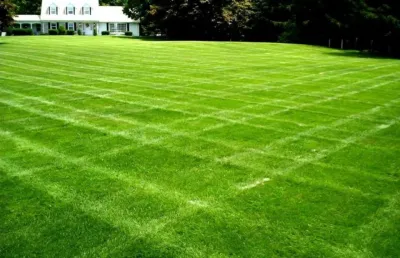 LocalLawn - Landscape Design in Orlando, FL