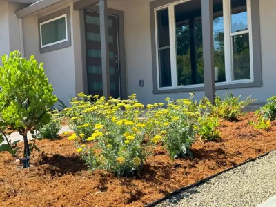 Planetscaper - Landscape Design in Concord, CA