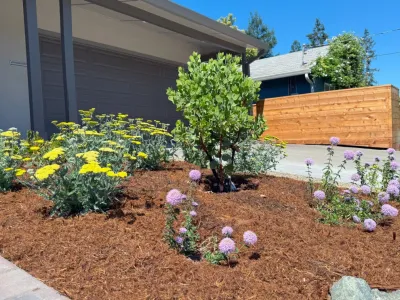 Planetscaper - Landscape Design in Concord, CA