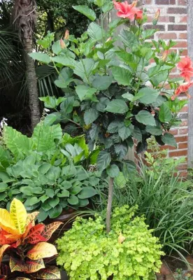 Plant Tech Nursery & Landscape - Landscape Design in Baton Rouge, LA