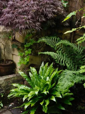 Redwood&Pine Co. - Landscape Design in Riverside, CA