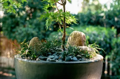 Redwood&Pine Co. - Landscape Design in Riverside, CA