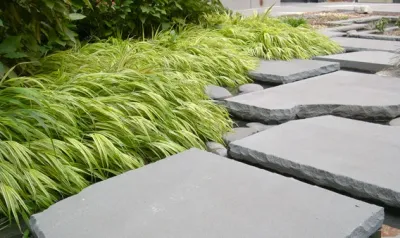 Starr Whitehouse - Landscape Design in New York, NY