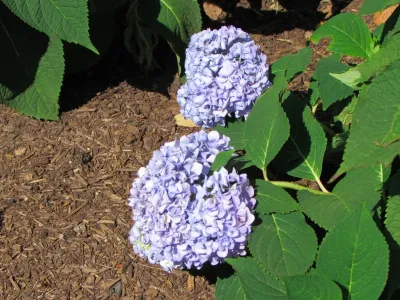 Stopas Landscaping - Landscape Design in Fairfield, CT