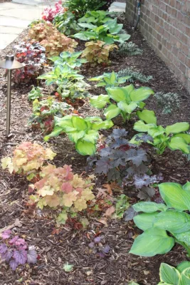 Landscaping — Landscape Design project by Graham Kimak Landscape Designs