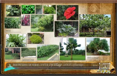TBU International - Landscape Design in Honolulu, HI