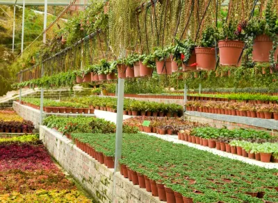 Albuquerque Landscaping Pros - Landscape Construction in Albuquerque, NM