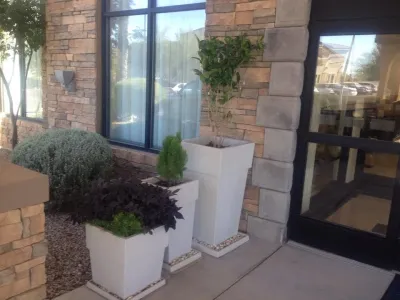 Angels Maintenance & Landscape - Landscape Construction in San Tan Valley, AZ