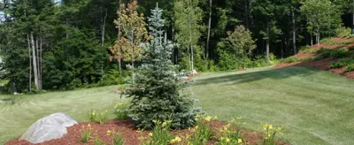 Landscaping — Landscape Construction project by Brochu Nurseries Landscaping & Garden Center in Concord