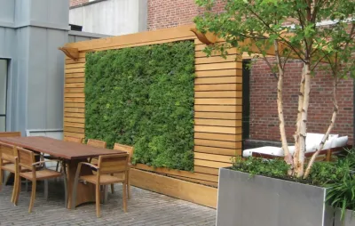 Green Walls — Landscape Design project by Graham Stanley & Associates