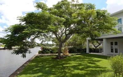 Grants Gardens - Outdoor Lighting Installation in Sarasota, FL