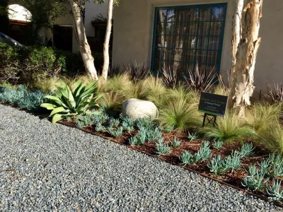 Drought Tolerant Mediterranean Landscaping by Gravel And Green