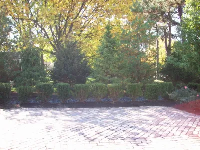 Green Grass, Inc. - Landscape Maintenance in Downers Grove, IL