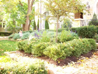 Green Grass, Inc. - Landscape Maintenance in Downers Grove, IL