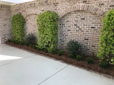 Daniel Island Redesign — Landscape Design project by Green Grass Landscape Contractors in Charleston