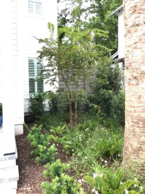 Fulton — Landscape Design project by Green Grass Landscape Contractors in Mount Pleasant