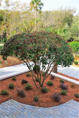 Kiawah Island by Green Grass Landscape Contractors