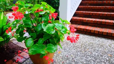 New look to old landscape — Landscape Design project by Green Grass Landscape Contractors