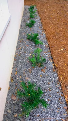 Green Grass Landscape Contractors - Outdoor Lighting Installation in Mount Pleasant, SC