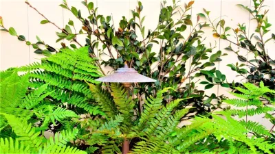 Hideaway Sanctuary — Landscape Design project by Green Grass Landscape Contractors in Mount Pleasant