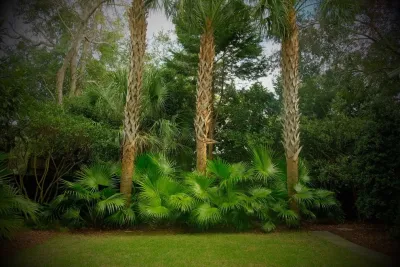 Old Village Rehab — Landscape Design project by Green Grass Landscape Contractors in Mount Pleasant