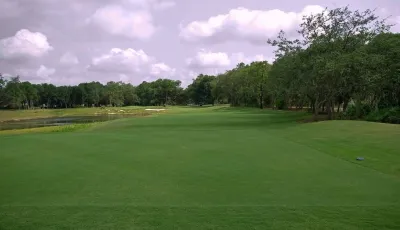 Action Sod & Landscape Gardens - Tree & Shrub Care in Miami, FL