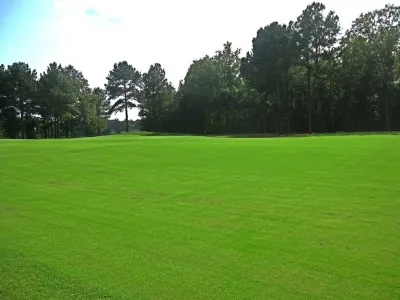 Geo Zoyia Grass — Landscape Design project by Action Sod & Landscape Gardens in Miami