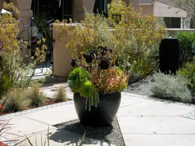 Drought Tolerant Garden by Green Landscape Designs