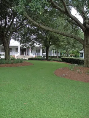 Action Sod & Landscape Gardens - Tree & Shrub Care in Miami, FL