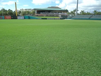 Action Sod & Landscape Gardens - Tree & Shrub Care in Miami, FL