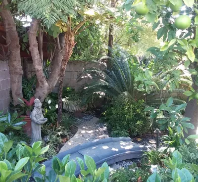 Mar Vista Asian — Landscape Design project by Green Landscape Designs in Los Angeles